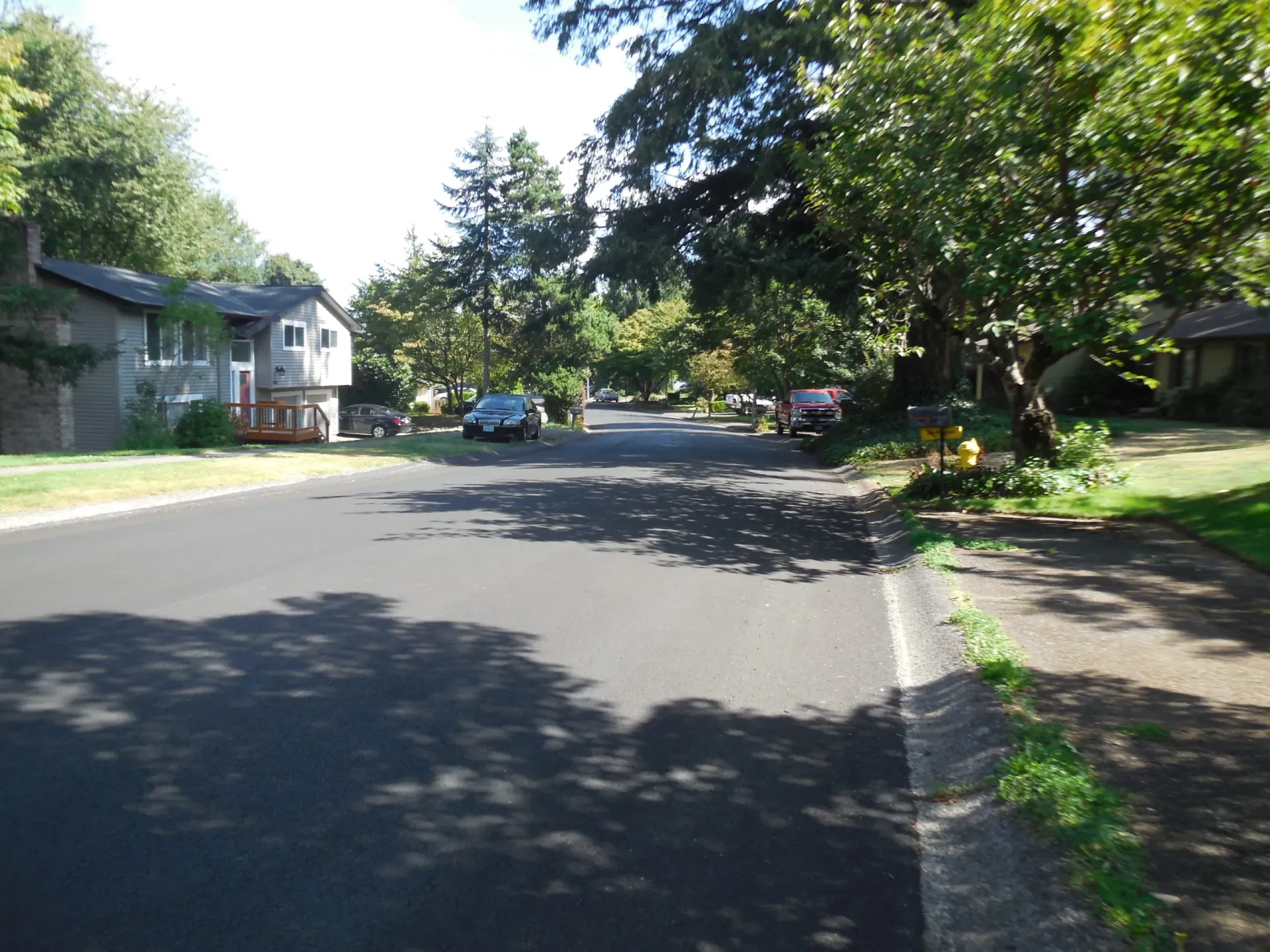 A quiet residential street lined with houses, large trees casting shadows on the asphalt, and a parked car.