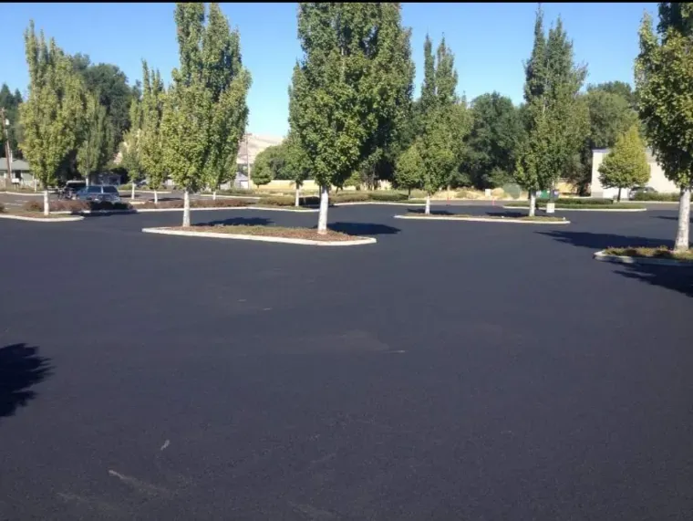 A freshly paved black asphalt parking lot with small concrete islands containing young trees under a clear blue sky.