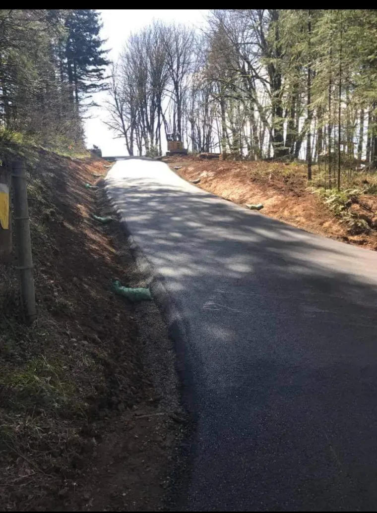 A paved road curves upward into a sunlit forest, with an earthen embankment on the left and trees in the background.