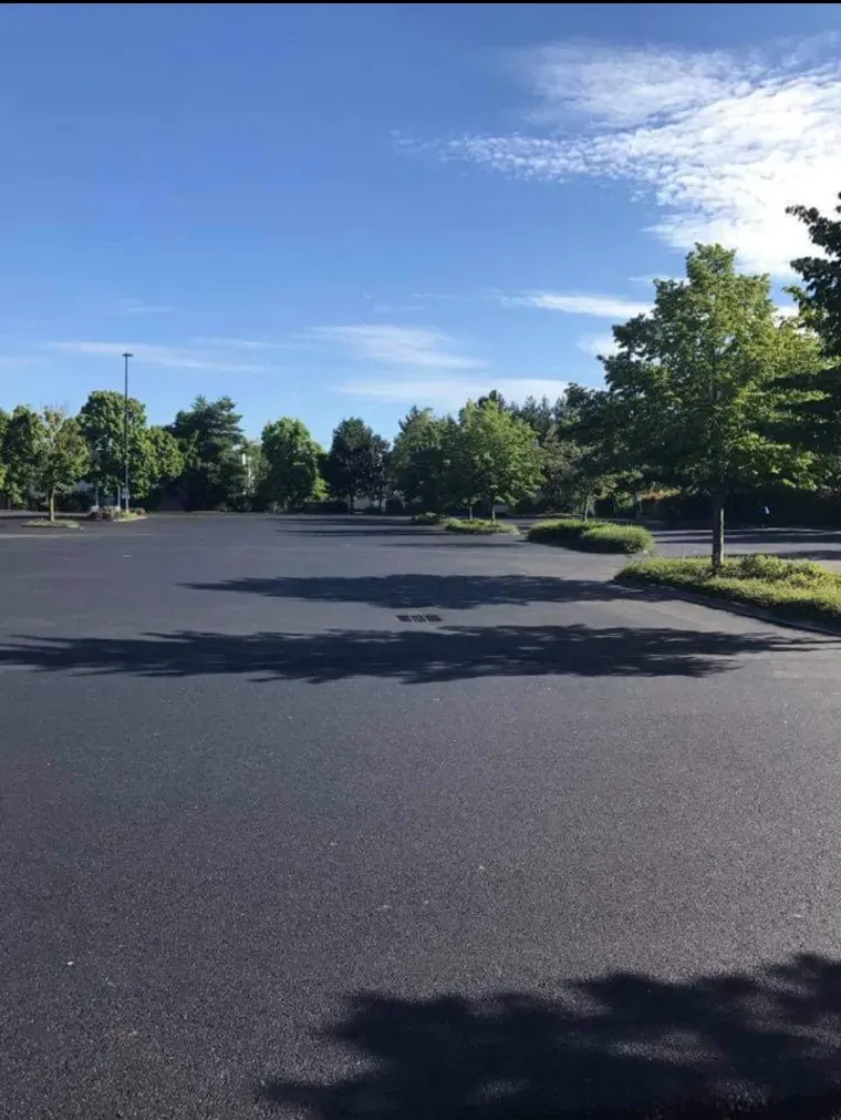An empty asphalt parking lot on a sunny day with green trees lining the perimeter under a bright blue sky.