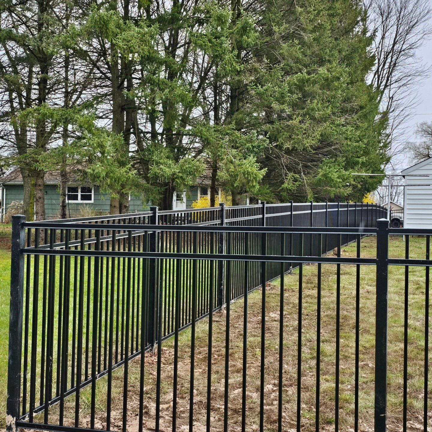 A black metal fence surrounds a grassy field with trees in the background.