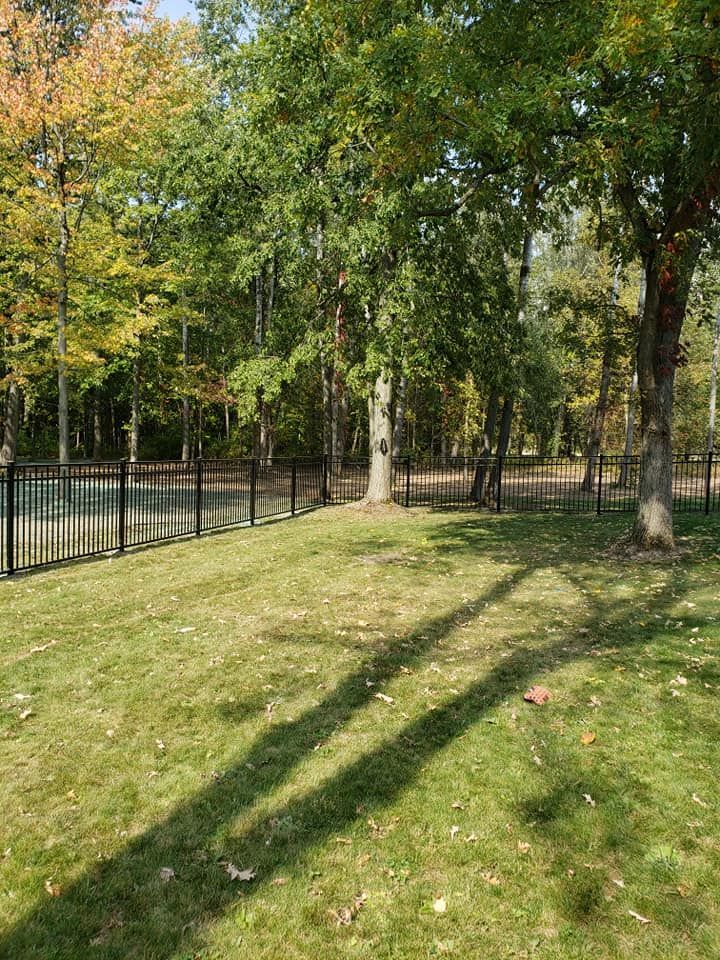 A fence surrounds a lush green field with trees in the background.