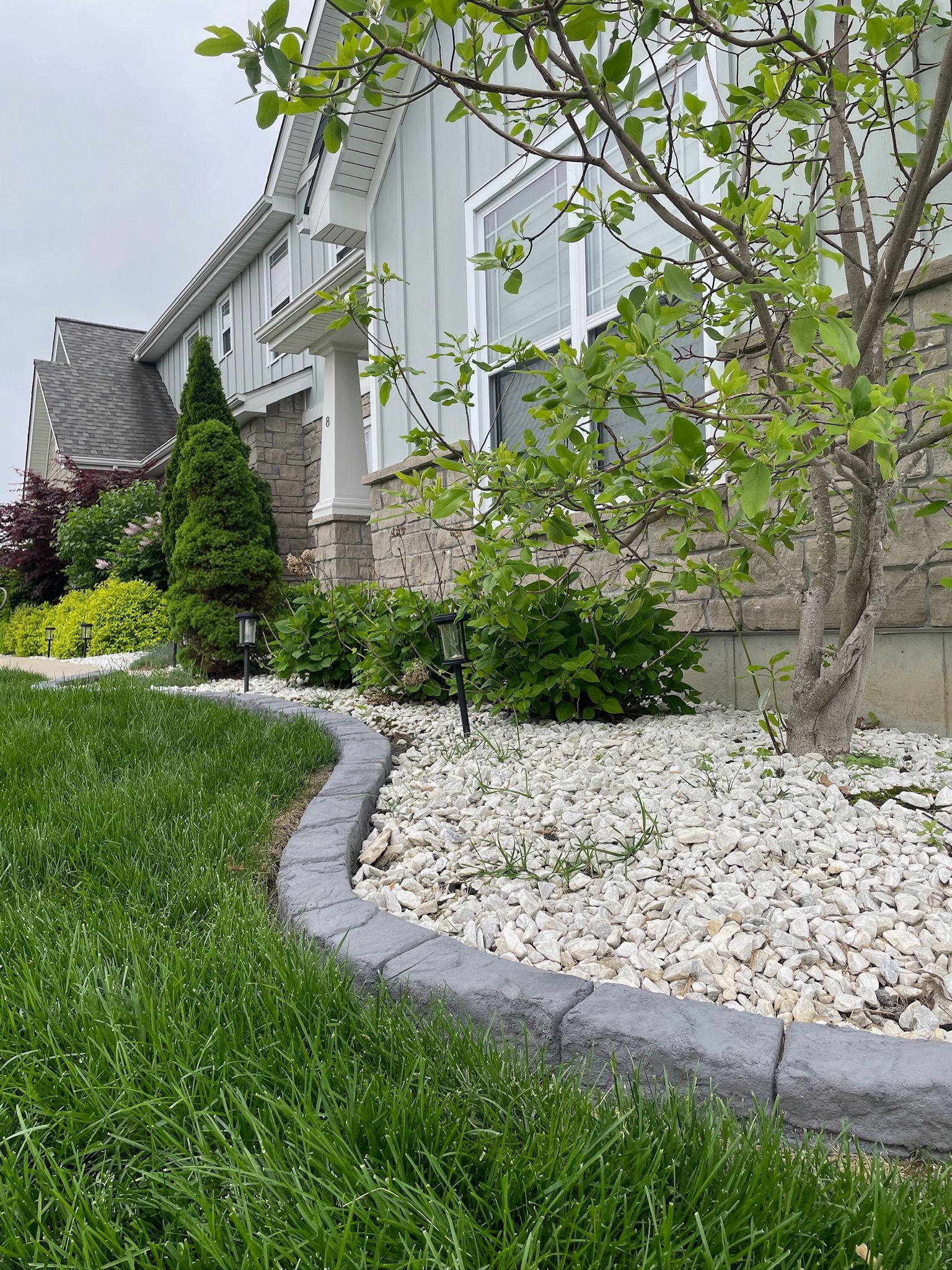 Landscaped suburban house with white stone garden bed, green lawn, and flowering tree branches over the walkway