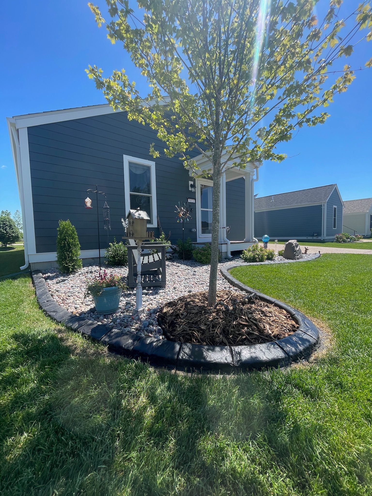 Front yard with a young tree in a mulch ring, black house, and bright sunny sky.