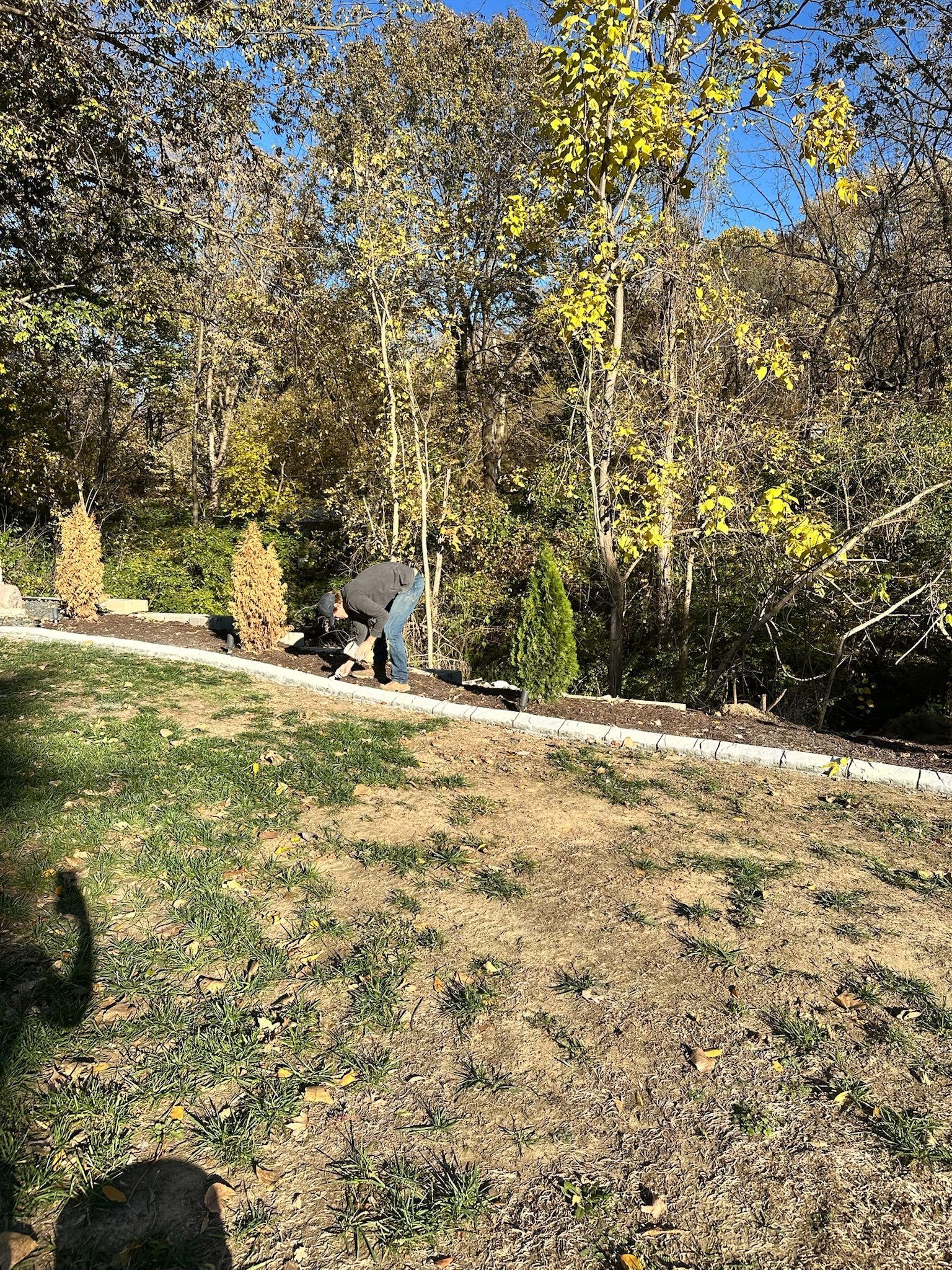 Person crouching by a garden path under autumn trees, with a grassy yard and blue sky.