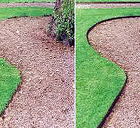 lawn before & after
