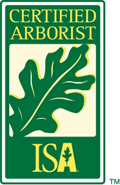 Certified Arborist - International Society of Arboriculture