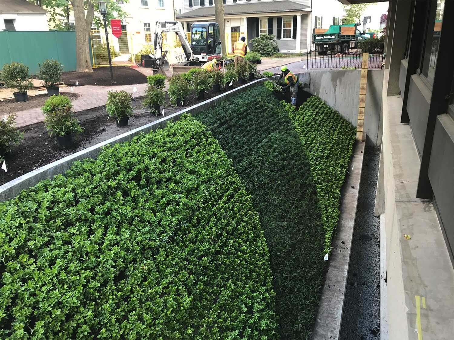 Landscape construction