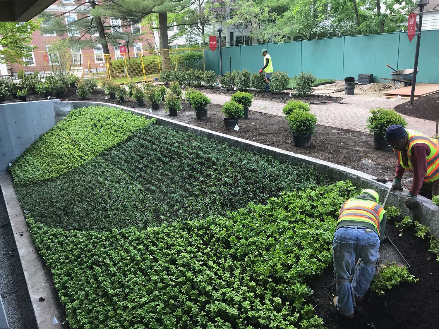 Landscape construction