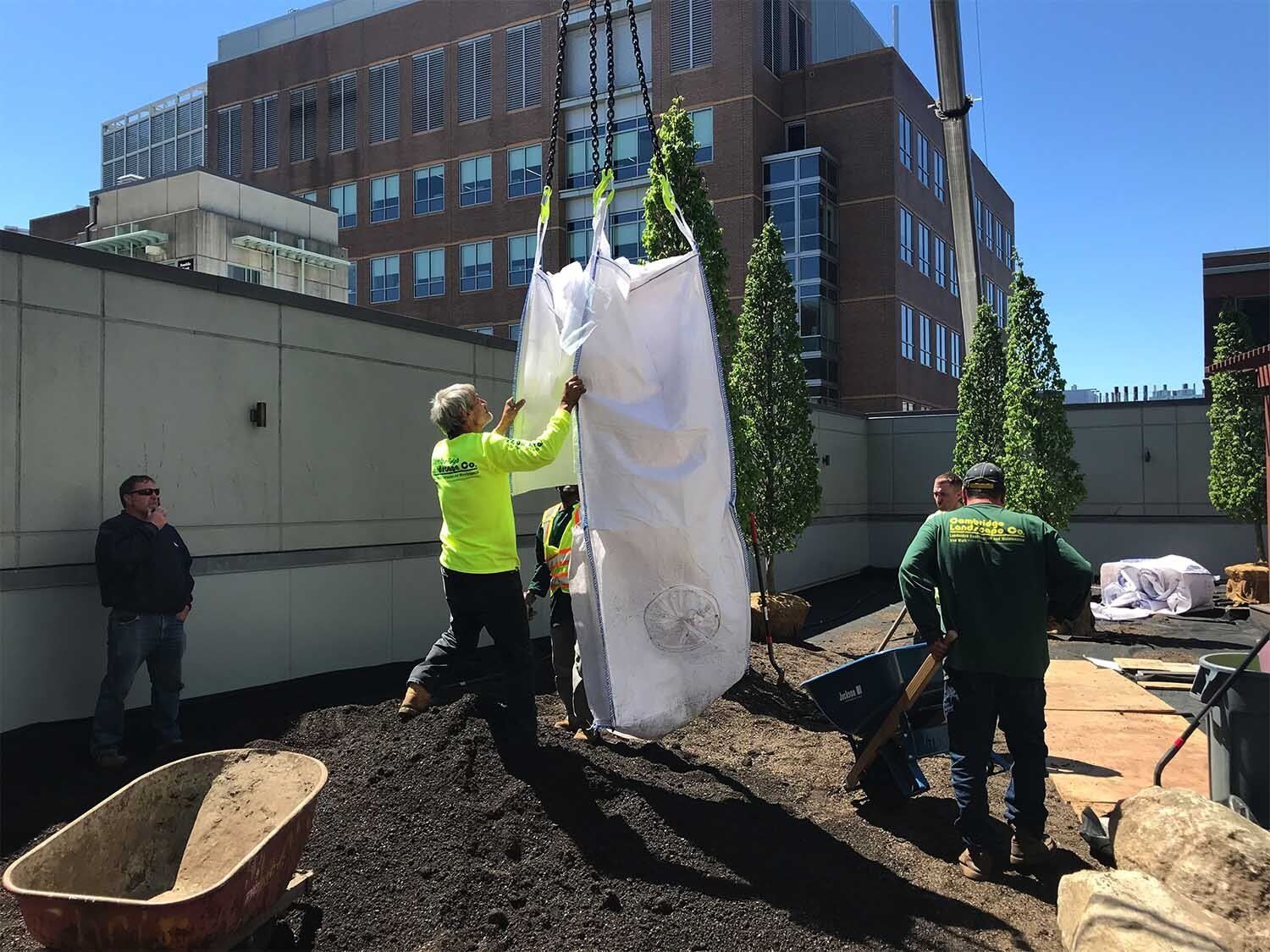 Landscape construction