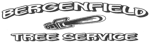 Bergenfield Tree Service - Logo