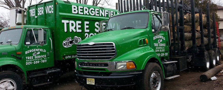 Bergenfield tree service trucks