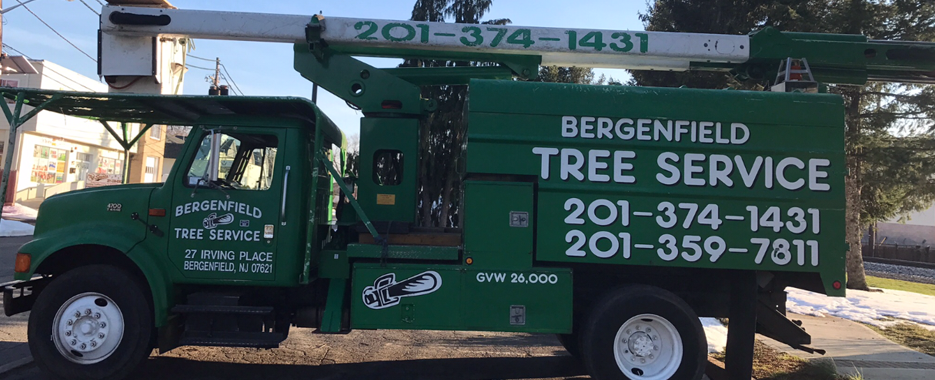 Bergenfield Tree Service truck