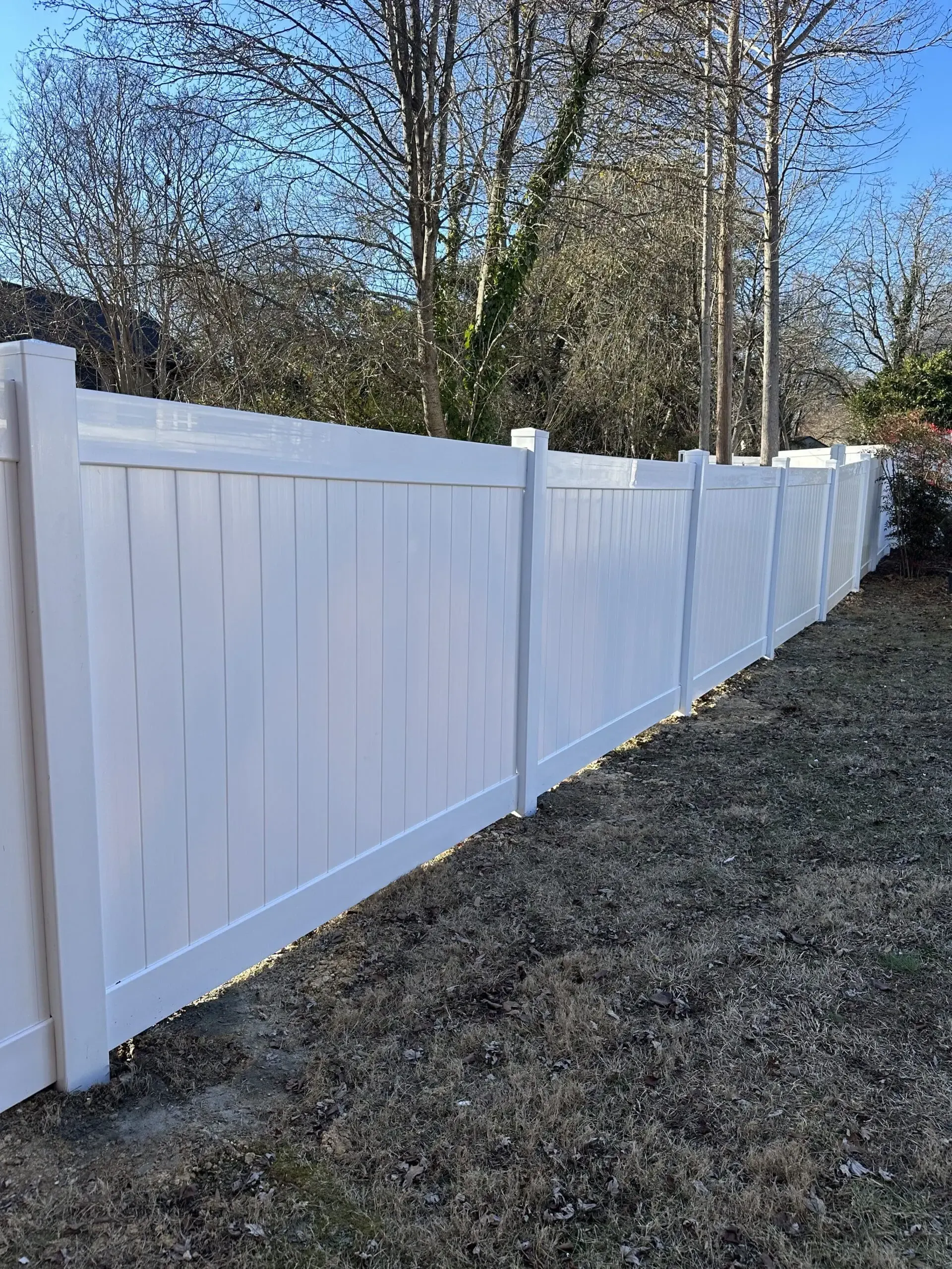 White vinyl privacy fence in a yard with bare grass and trees in the background.