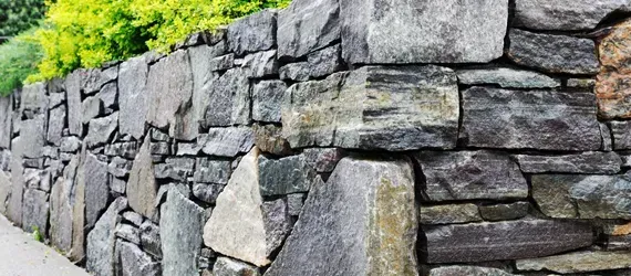 Stone wall with varying shades of gray, green foliage in the background.