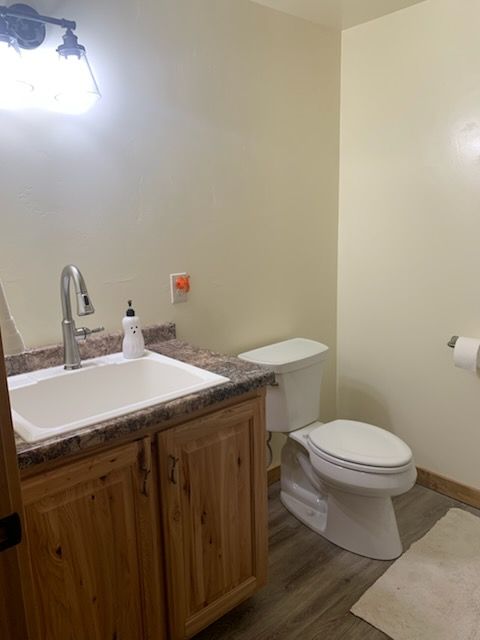 A bathroom with a sink and toilet