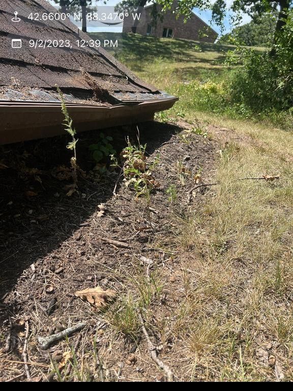 Roof edge with damaged shingles, overgrown vegetation, and a grassy area.