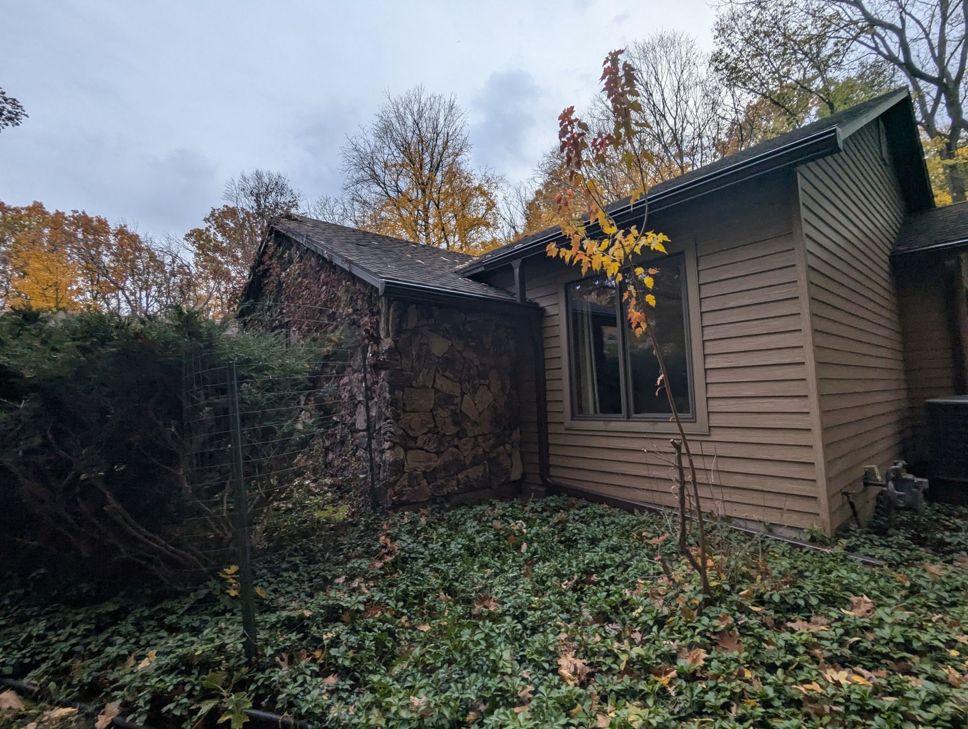 A house with stone and wood siding surrounded by green plants and fall foliage under a cloudy sky.