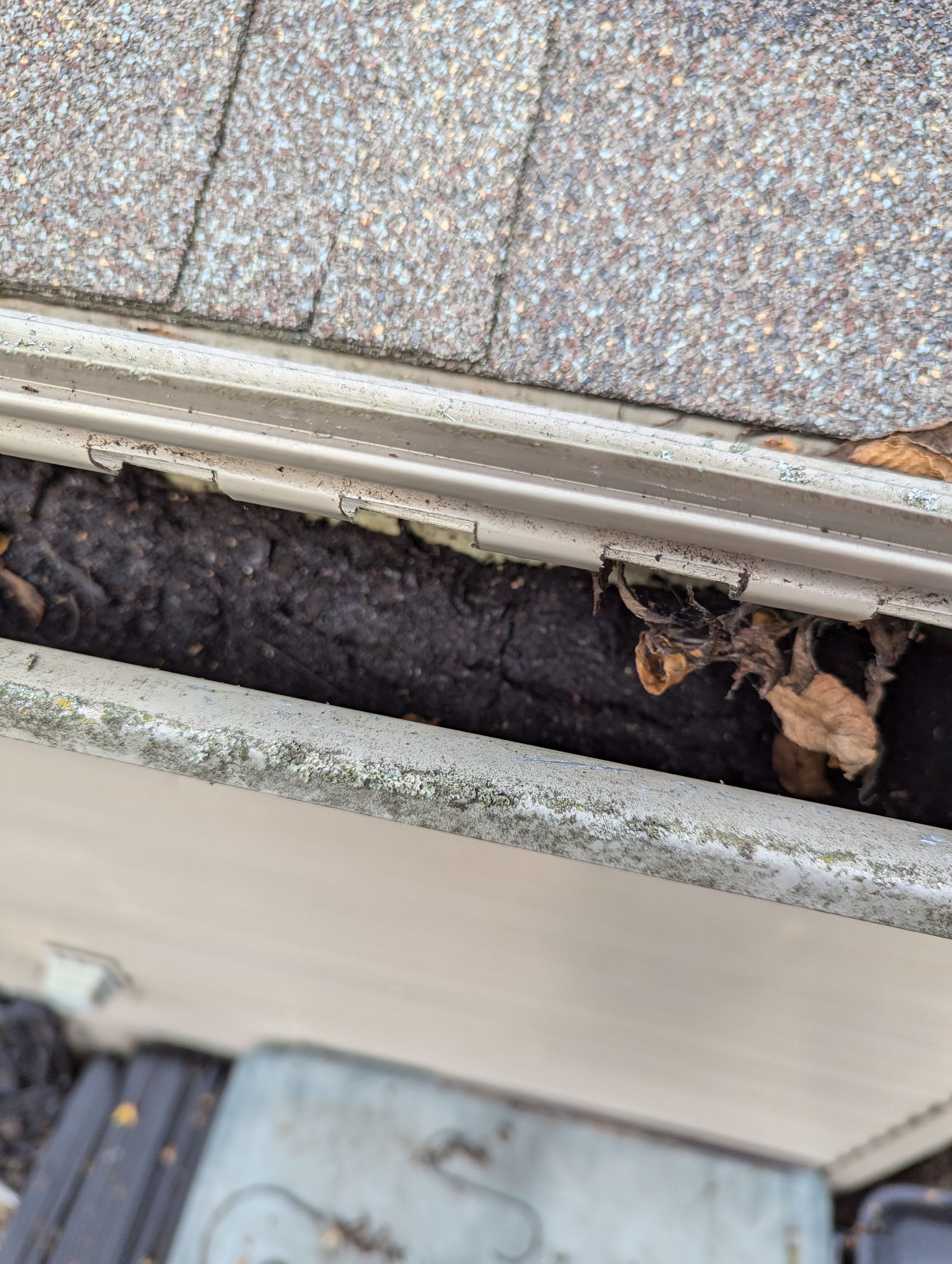 Gutter filled with dark debris and leaves, against gray roofing.