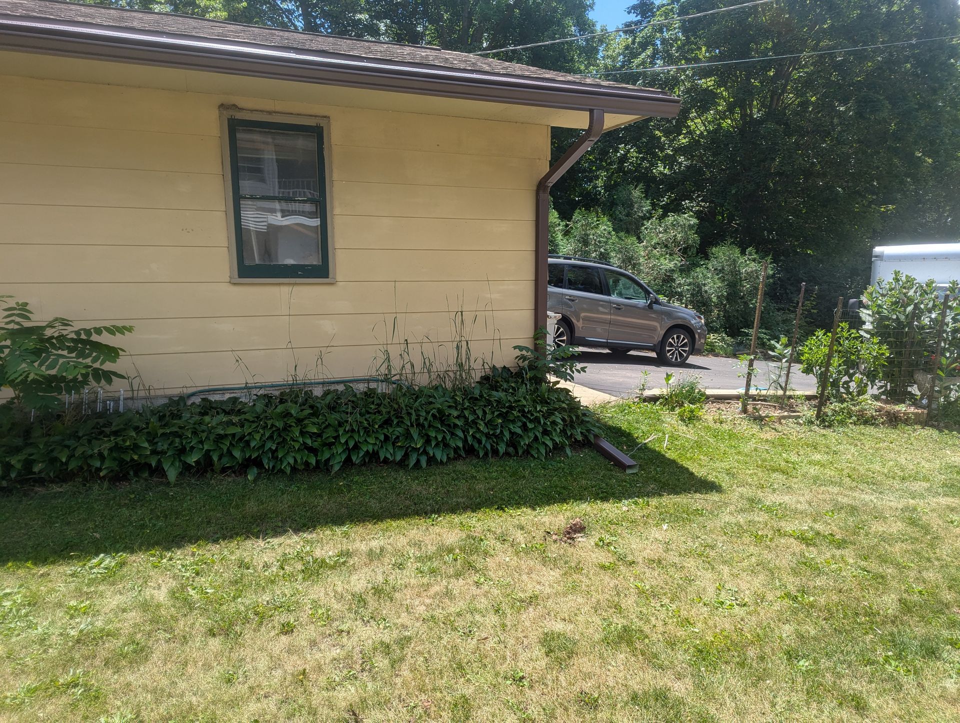 Yellow house with green trim, window, and overgrown bushes. A car is parked on a driveway nearby.
