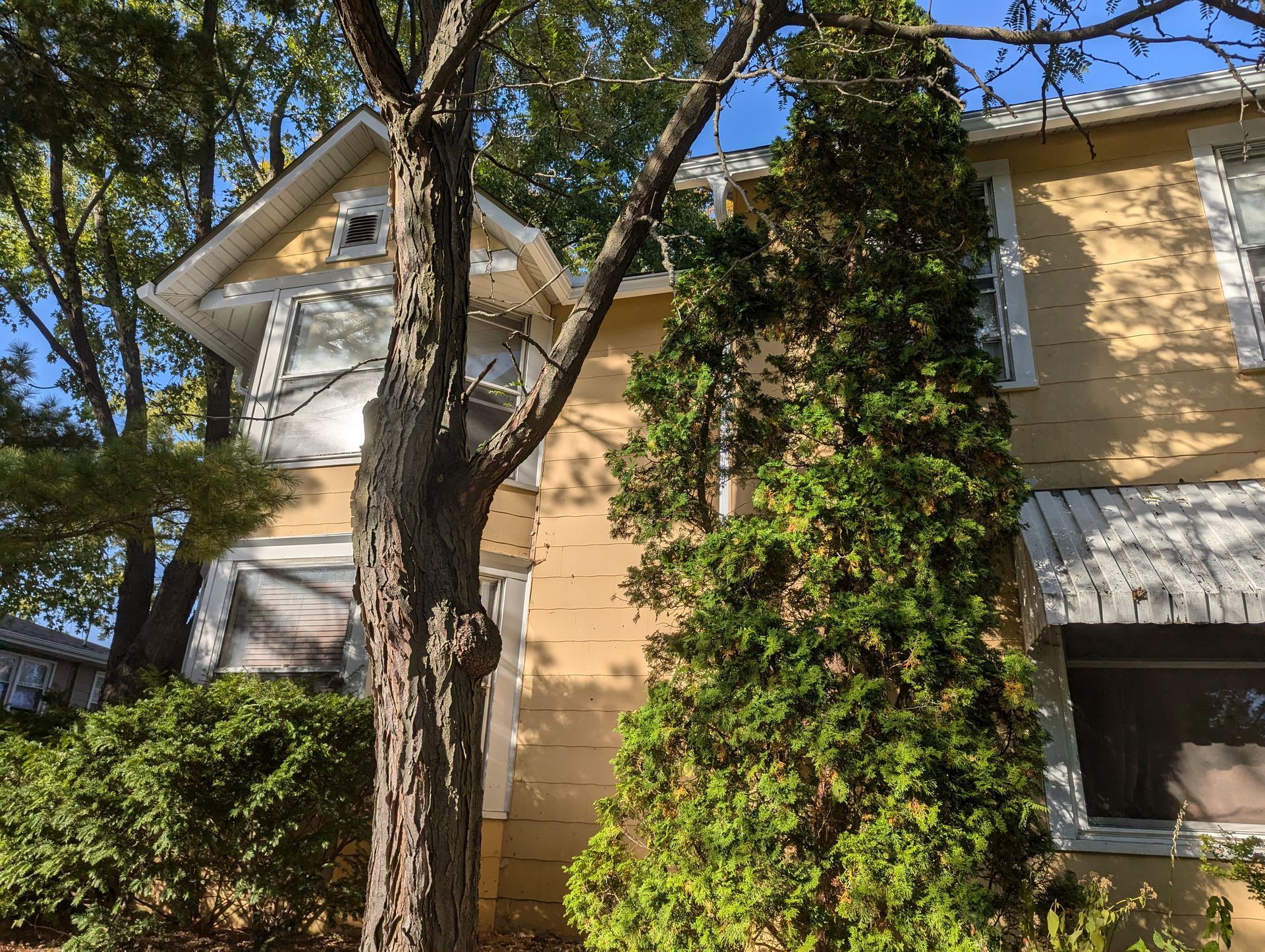Yellow house with boarded-up windows, partially obscured by trees.