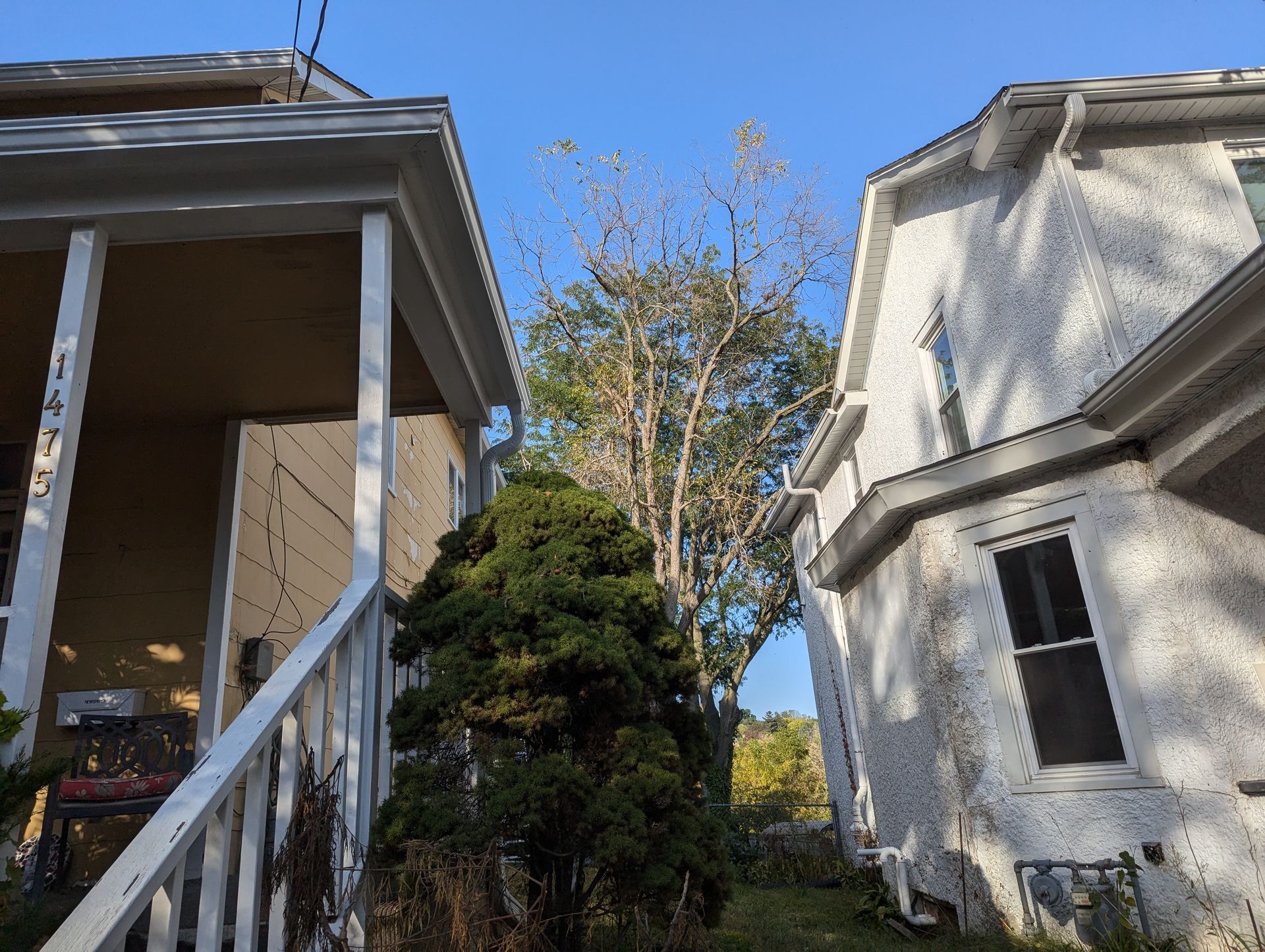 Two houses flank a tree. One yellow with a porch, the other white stucco. Green bush in front.