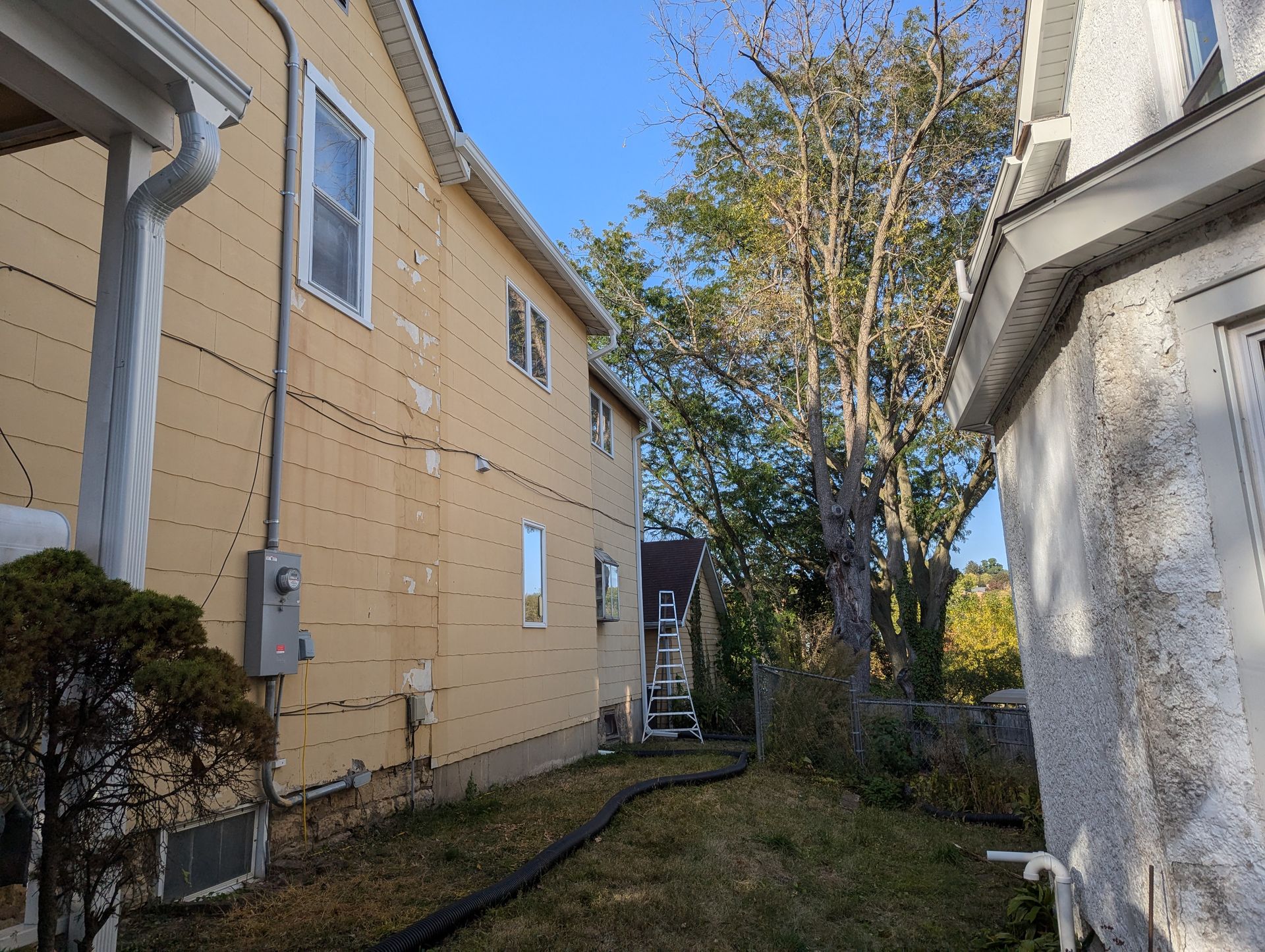 Side view of two houses with a tree between them; one yellow and one white.