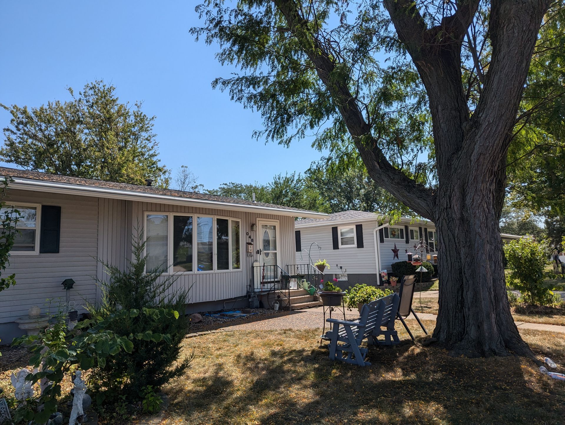 Row of tan-colored houses with large tree in front on a sunny day.