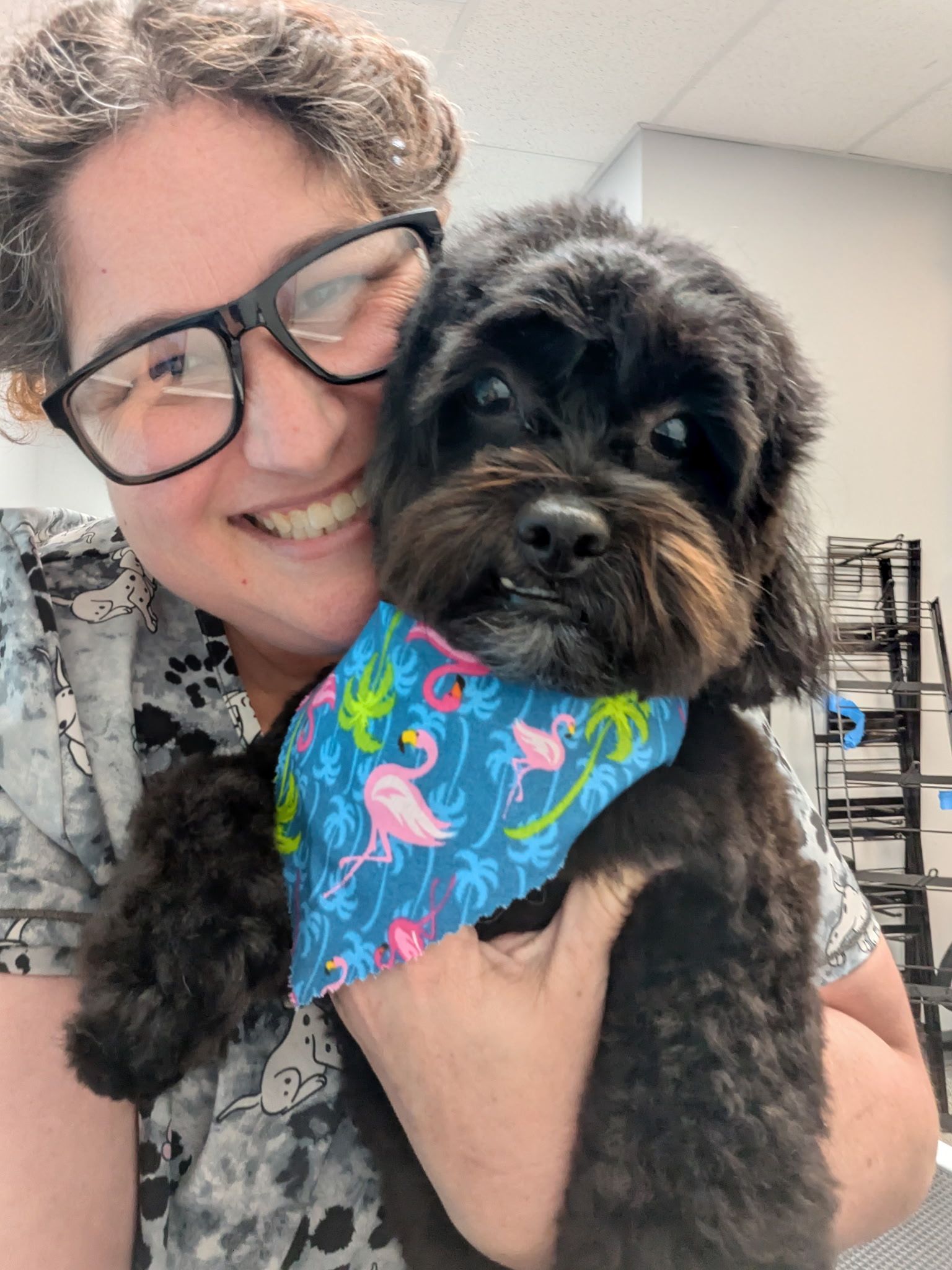 Person smiling and holding a small black dog wearing a bright blue floral bandana.