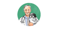 Cartoon veterinarian in a white coat holding a small dog, on a green circular background