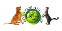 Two cats flank a green logo reading “Eco Dogs and,” with a dog silhouette inside the circle.