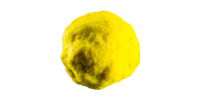 Bright yellow fruit with a rough, irregular surface on a white background