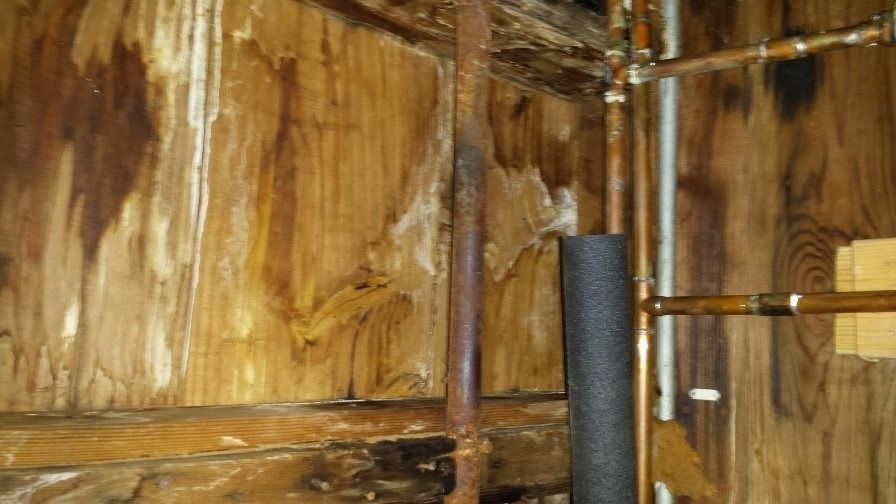Close-up of a rustic wooden wall with exposed pipes and a black foam-wrapped pipe