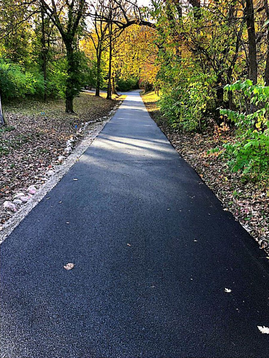 An asphalt driveway in the woods