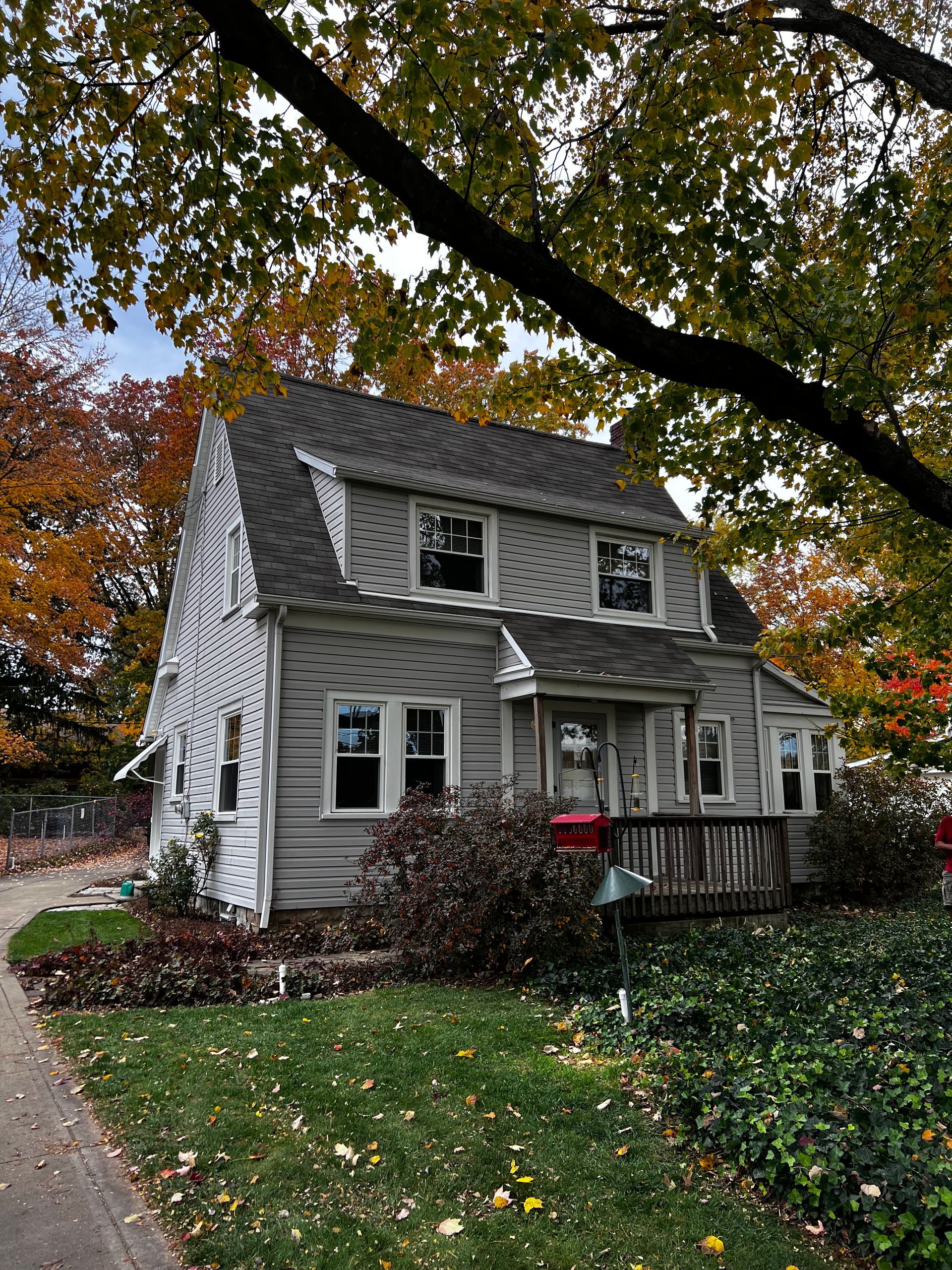 A small house with a mailbox in front of it is surrounded by trees.