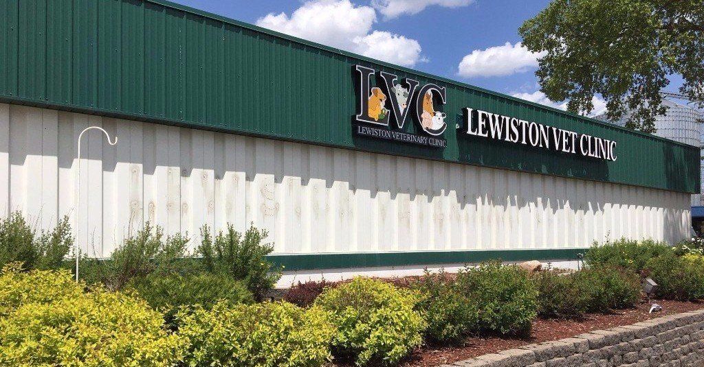Lewiston Veterinary Clinic Pets Lewiston, MN