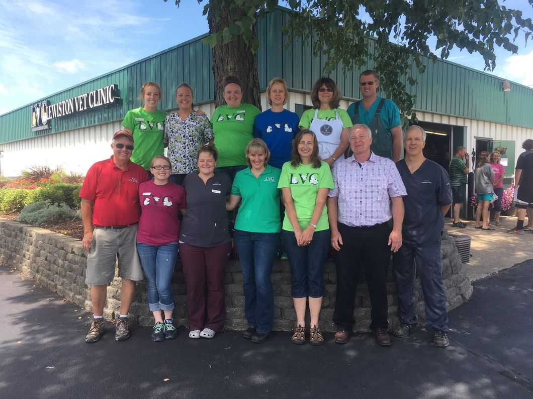 Lewiston Veterinary Clinic Pets Lewiston, MN