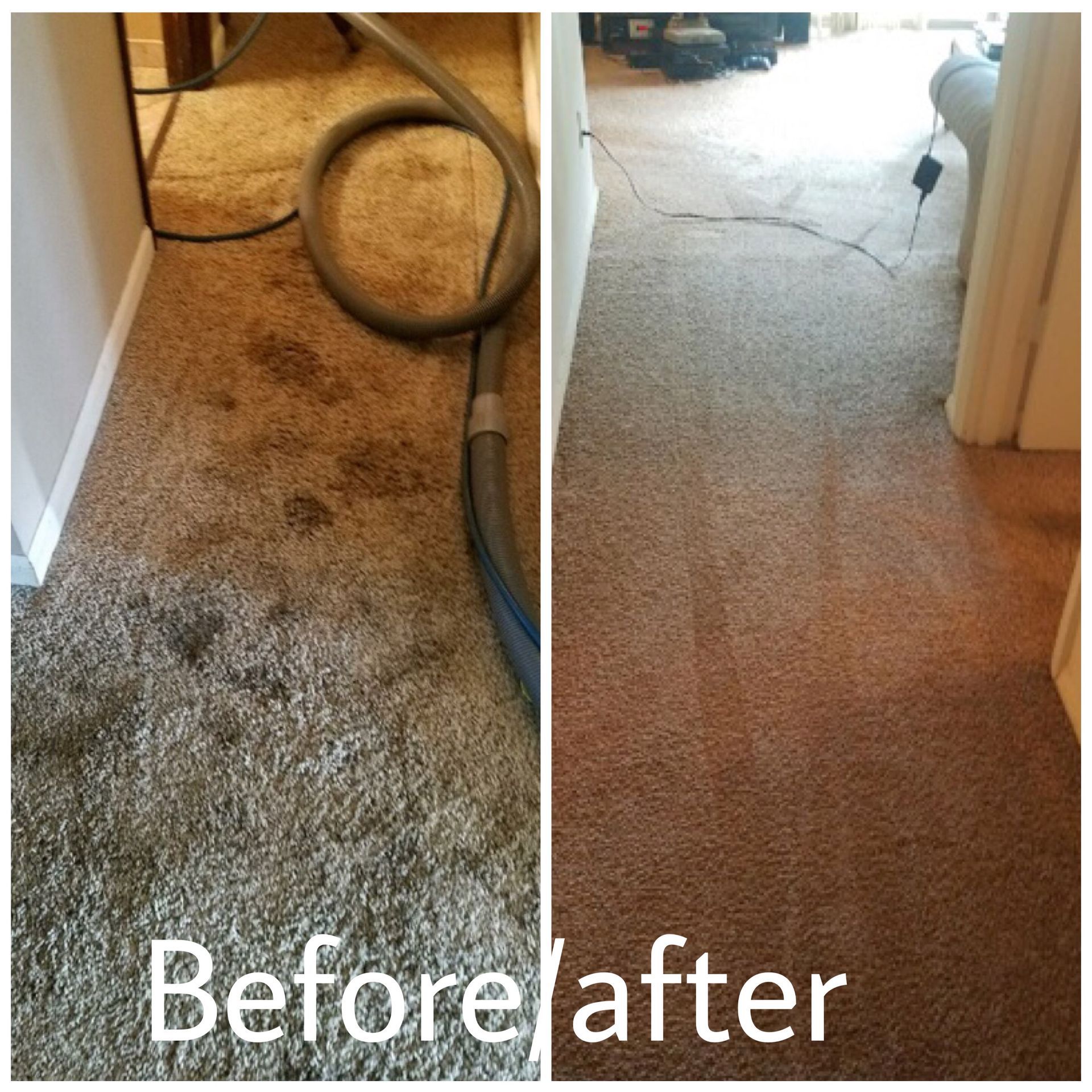 Before/After Gallery Pro Steam Carpet Care & Restoration