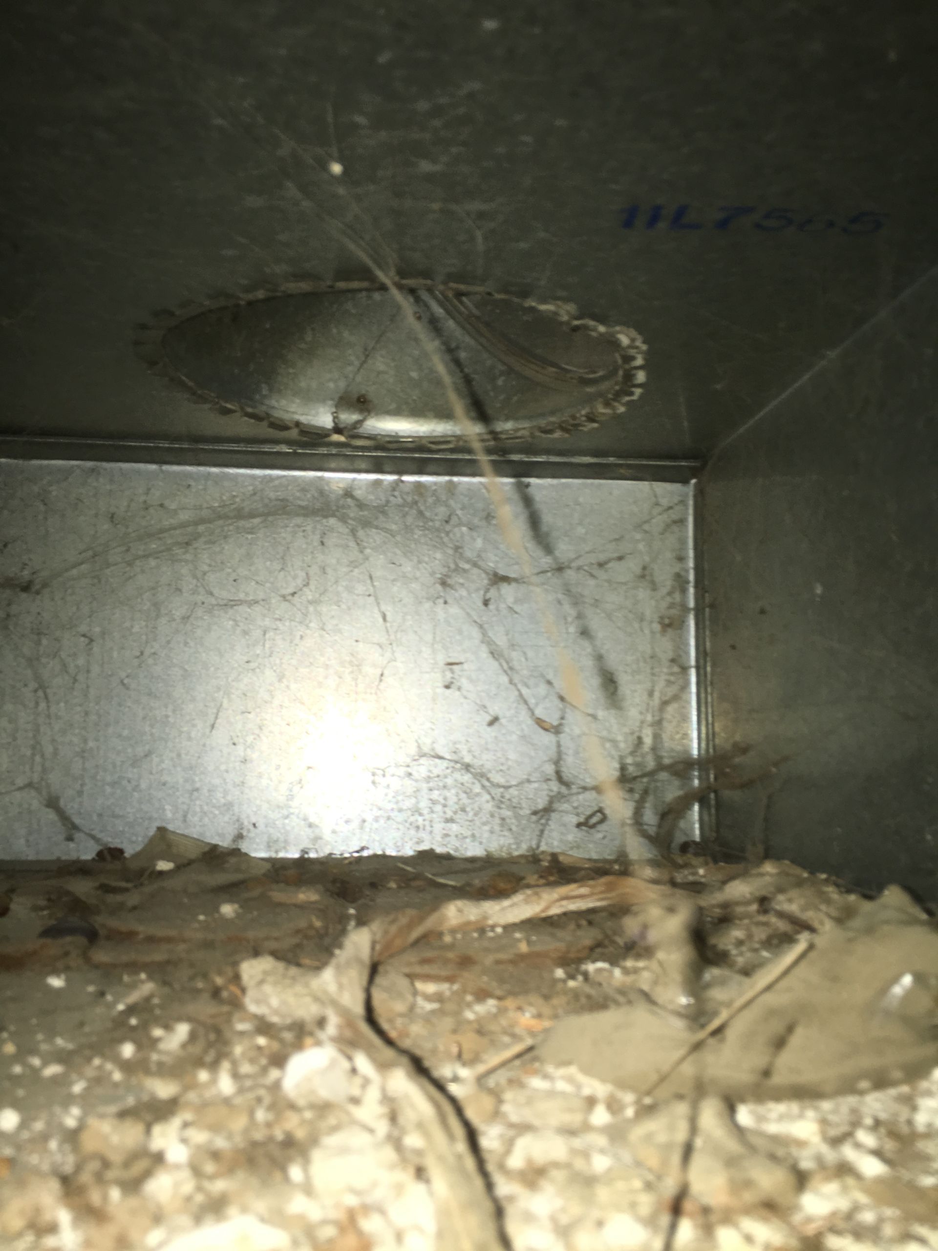 Before/After Gallery Pro Steam Carpet Care & Restoration