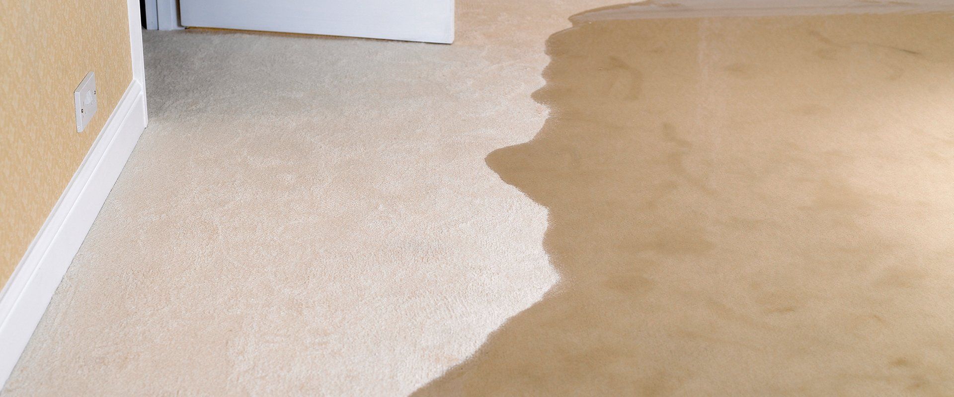 Flooded carpet on the living room