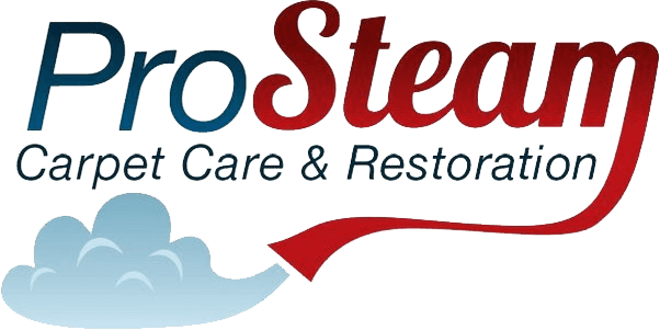 Pro Steam Carpet Care & Restoration logo