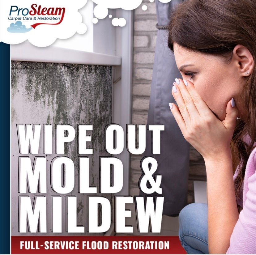 Mold and mildew