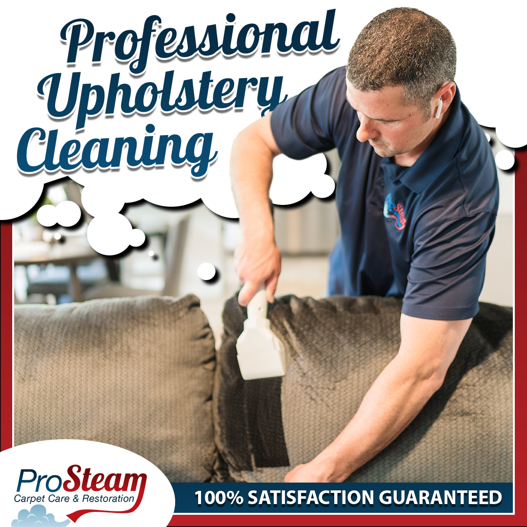 Professional upholstery cleaning