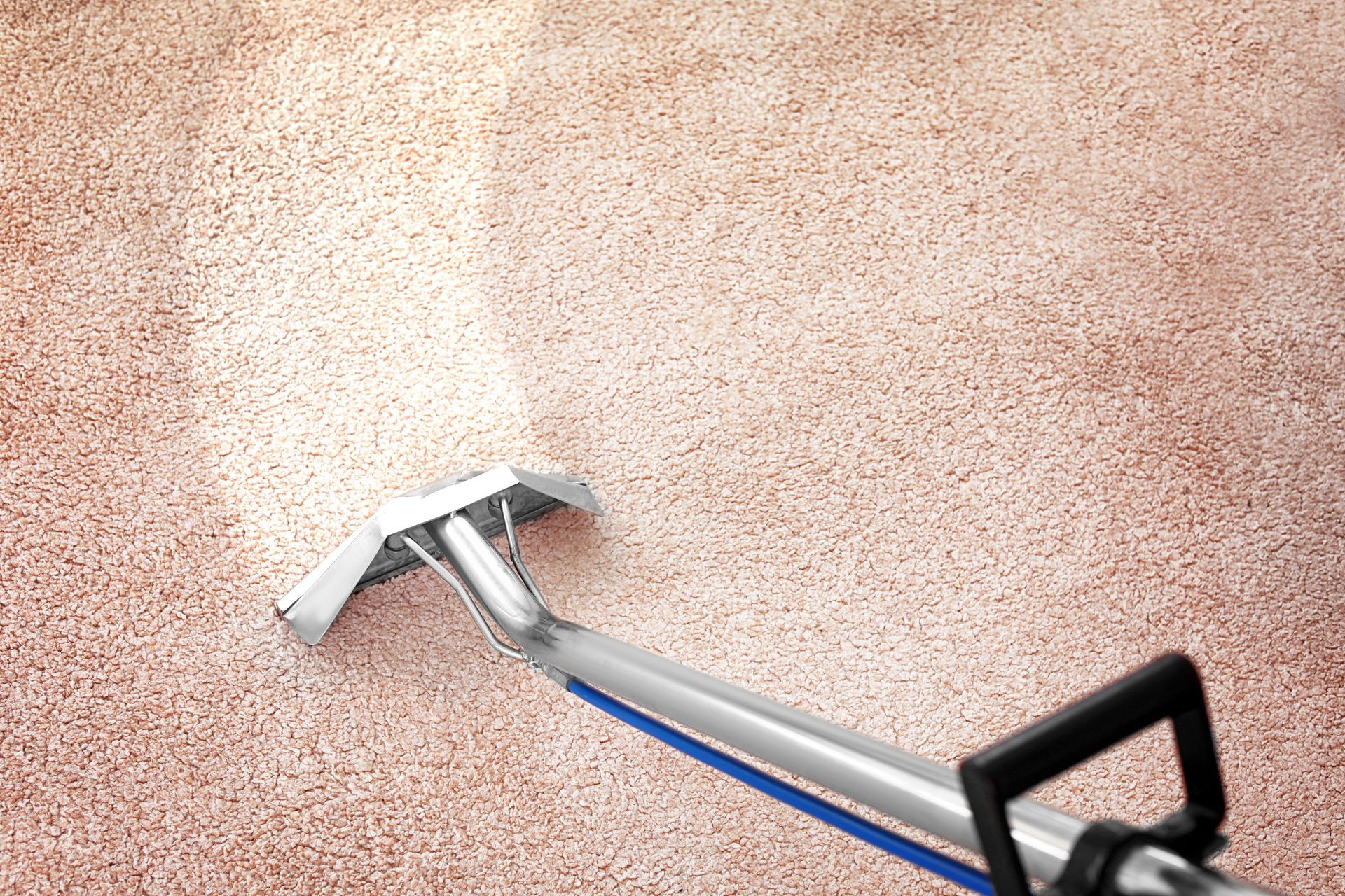 Professional Steamer that is leaving a clean streak of carpet as the cleaner steams professionally.