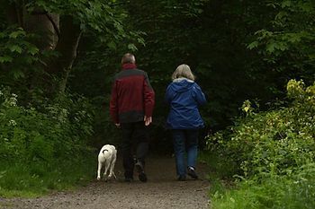 A man and a woman are walking a dog down a path in the woods.