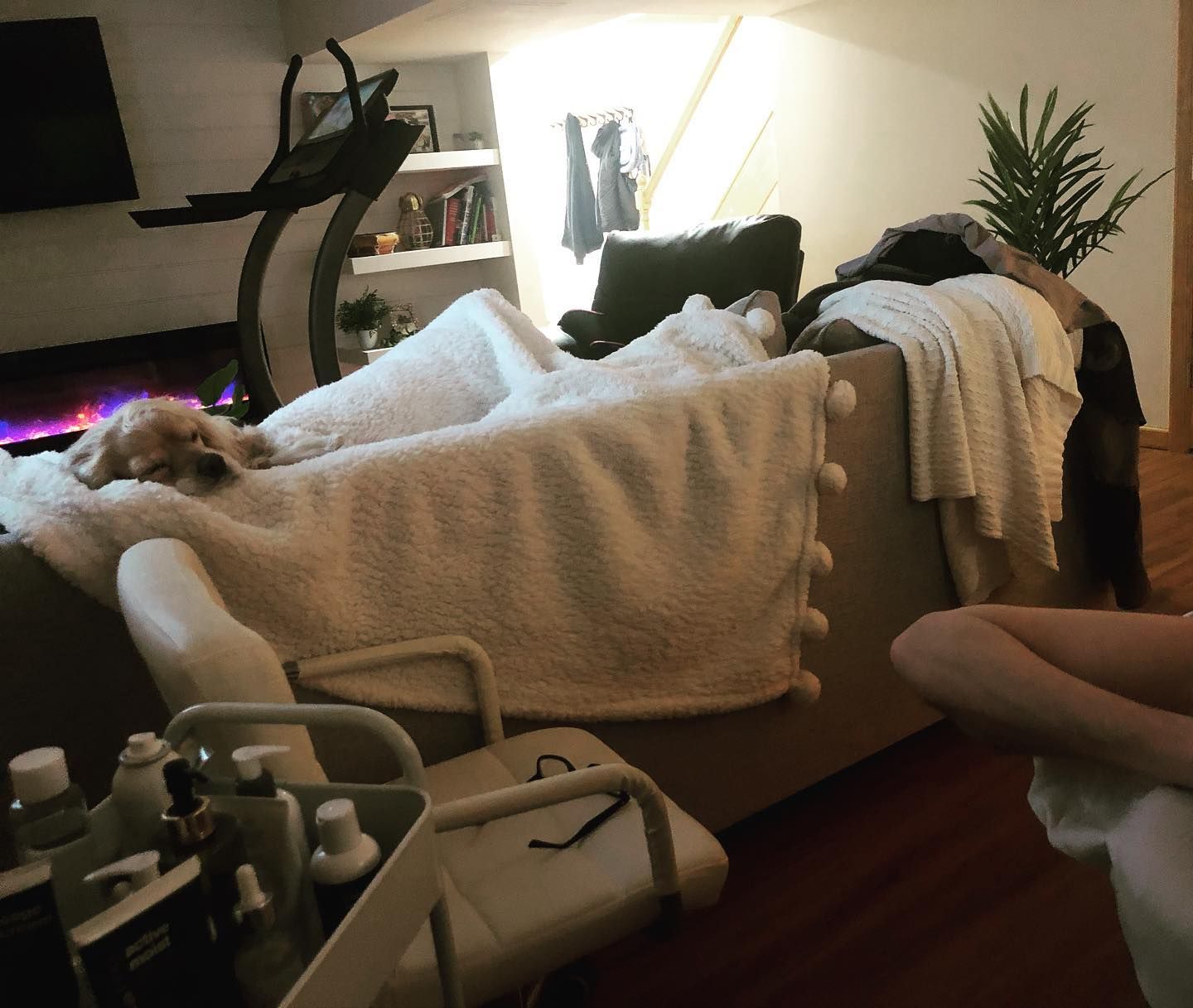 Dog resting on a couch covered in a blanket, with a person's legs visible and exercise equipment in the background.