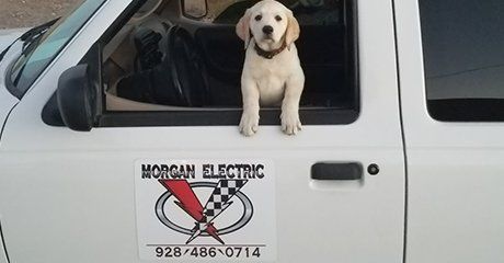 Cute puppy inside the service truck