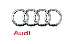 Audi logo: four interlocking silver rings, with