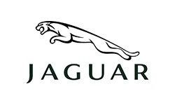 Jaguar car logo: Black leaping jaguar over the word