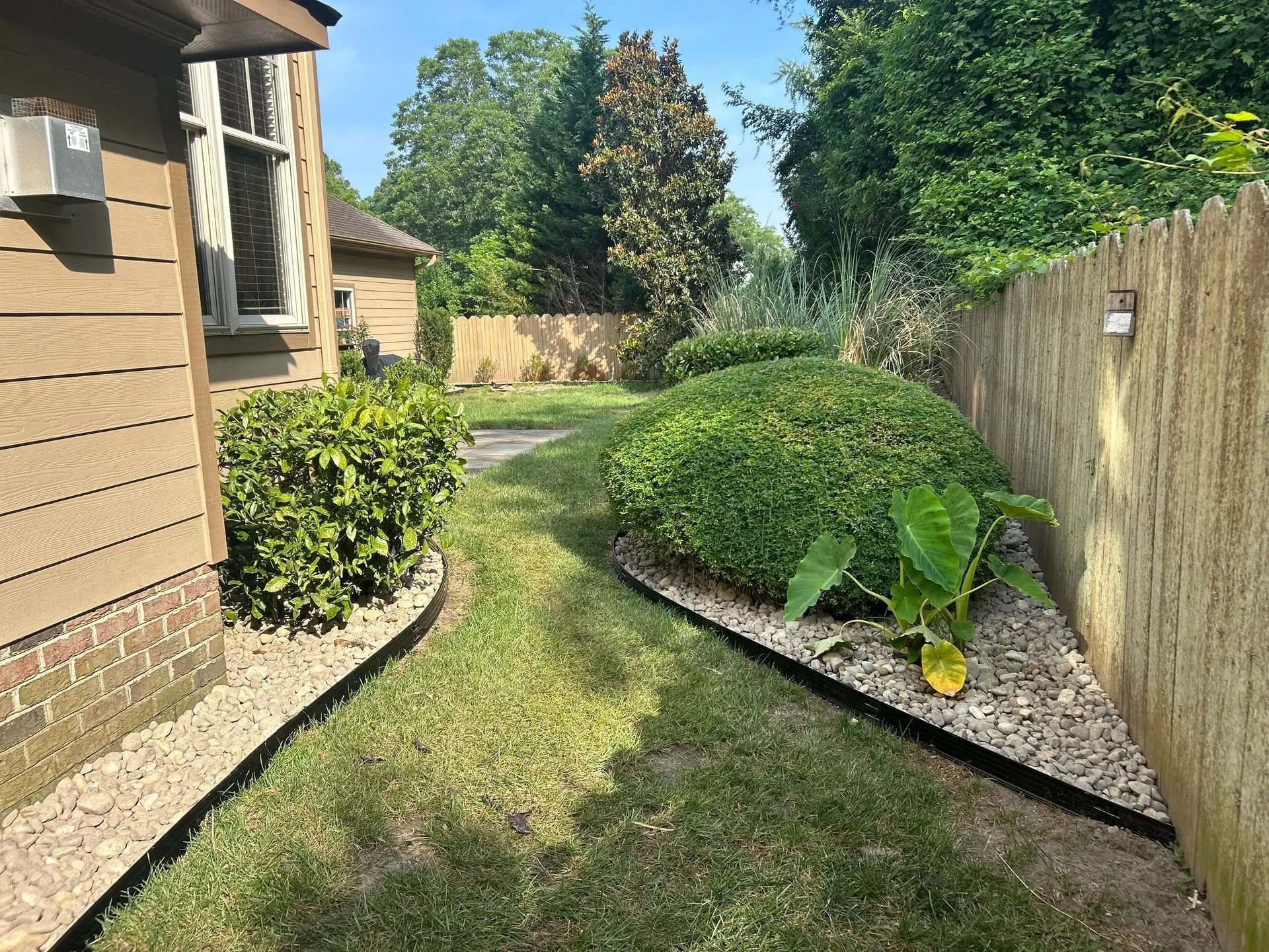 Lawn and garden area with wooden fence. Green grass and shrubs border gravel beds.